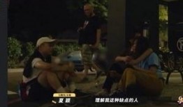 傻白乐队爆料视频,独家爆料视频背后的故事