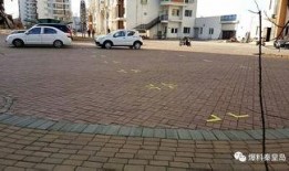 家园小区爆料视频,揭秘小区内幕，真相令人震惊！