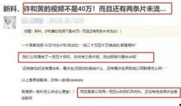 爆料视频曝光违法吗,揭秘网络监督的边界与责任
